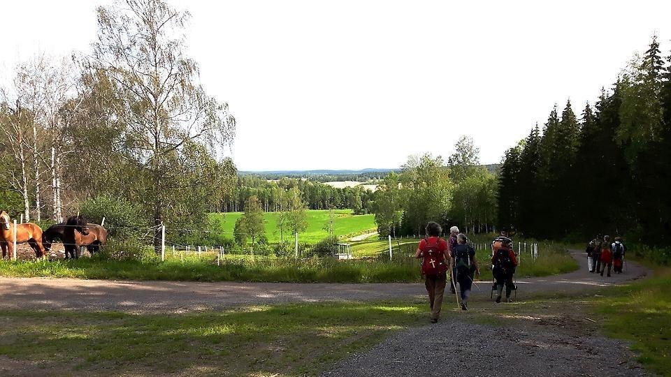 Vacker vy över Häljebol ´s  bygd med ängar och de sjöar, Flagorna, som är delar av vattenvägen mellan Säffle och Arvika. Vandrarna är på väg ner mot det flacka landskapet. Fotot är från Pilgrimsvandringen 2019 