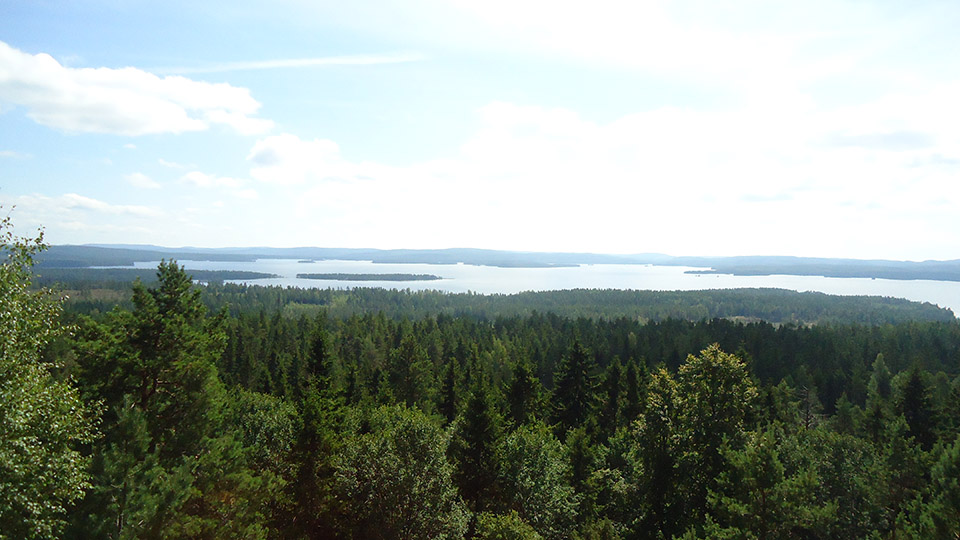 Glaskogens naturreservat i Värmland erbjuder upp till 30 mil vandringsleder i vildmark. Här behöver du aldrig gå på samma led två gånger!