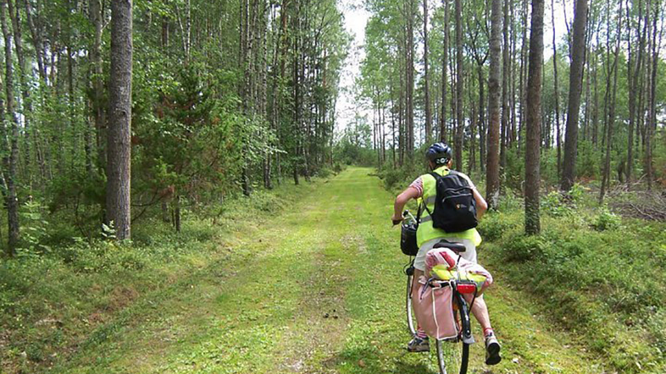 Cyklisten på bild är precis på väg att trampa vidare på den fina skogsvägen. I Säffle kommun finns många fina grusvägar att cykla på som på Värmlandsnäs östra sida ner till ekenäs, sydspetsen av Värmland.