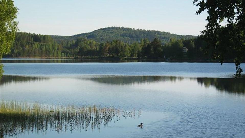 Svansjöarnas FVO ligger i det natursköna sydvästra Värmland, omfattar sjöarna Ämmeskogsjön, Västersvan, Mellansvan, Östersvan, Eldan och Lången. Sjösystemet ingår i Lillälvens vattensystem, ett vattensystem som börjar i naturreservatet Glaskogen 