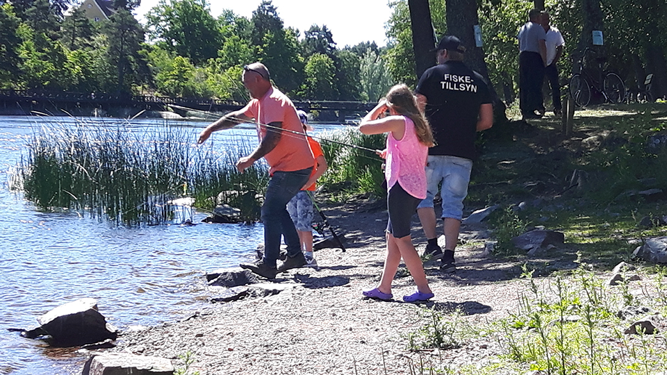 Mitt i Säffle centrum står en flicka på älvbrinken. Hon får hjälp med att fira in fisken som nappat. Foto är från premiärdagen för gösfisket i Byälven, ett av Sveriges bästa fiskevatten för gösfiske. 