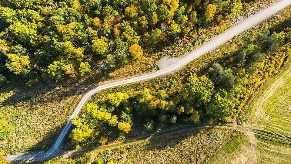 Drönarbild över en skogsväg på hösten