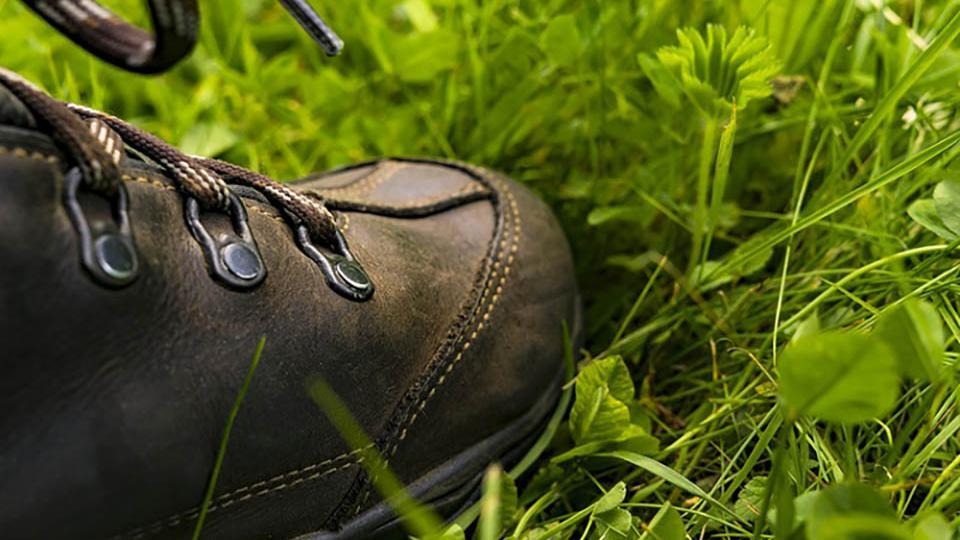 Ta på sköna skor för vandring och vandra på fina leder i Lönnskog.
