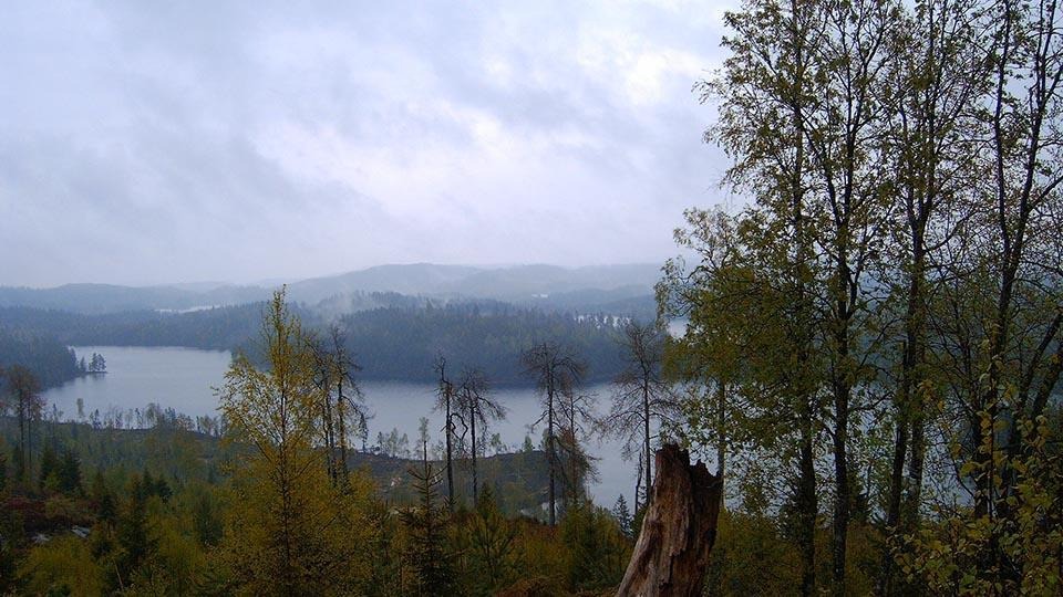 Vandringsleden till Nordtorp är den längsta vandringsleden i Lönnskog och erbjuder allt från bergshöjder och stränder vid tjärnar till djupa skogar. 