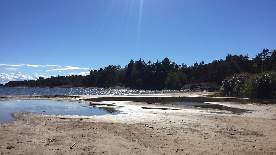Vid Åkershus finns det en fin naturbadplats med sandstrand. Du kan vandra på led från campingen på Ekenäs eller ta bilen hit. Det finns några parkeringsplatser nära stranden. 